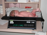 7 lbs 6 oz
