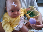 Egg hunt