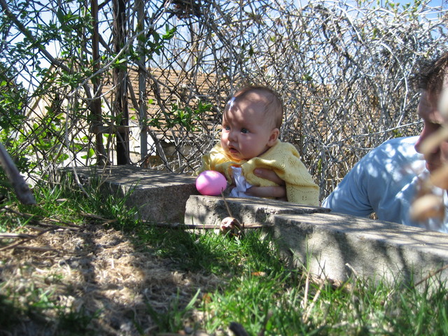 IMG 0346