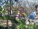 IMG 0346