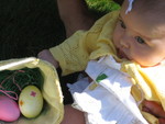 Madi's eggs