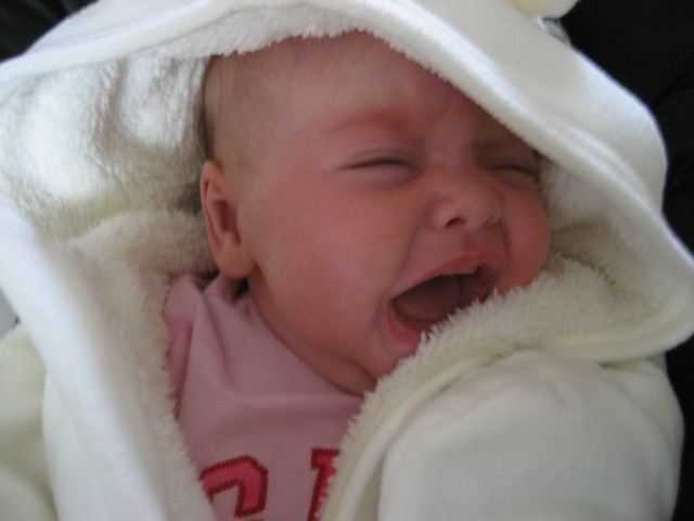 Madison didn't like being bundled up in her bear suit