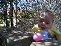 Highlight for album: April 2007