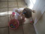 Easter morning egg hunt