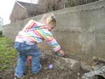 finding eggs at GG Newsomes