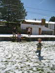 IMG 0004