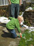 IMG 0011