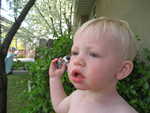 IMG 0073