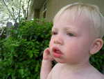 IMG 0074