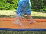 IMG 0078