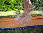 IMG 0080