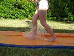 IMG 0081