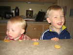 IMG 0869