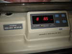 IMG 0101