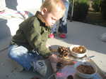 Paul making a bird feeder - pine cones, peanut butter and bird seed