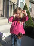 Madison's bird feeder