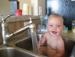 Washing Madison like we wash the dishes - she loves it