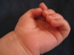 Little hands