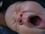 Big Yawn