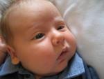 Little Pauly