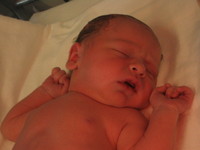 Highlight for album: Baby "Radan" Has Come!!!