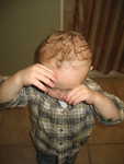 IMG 0008