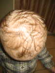 IMG 0010