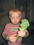 IMG 0050
