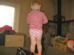 IMG 0062
