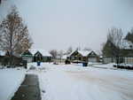 IMG 0075