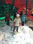 IMG 1271