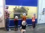 IMG 4317