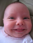 Cheese