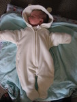 Madison the little bear