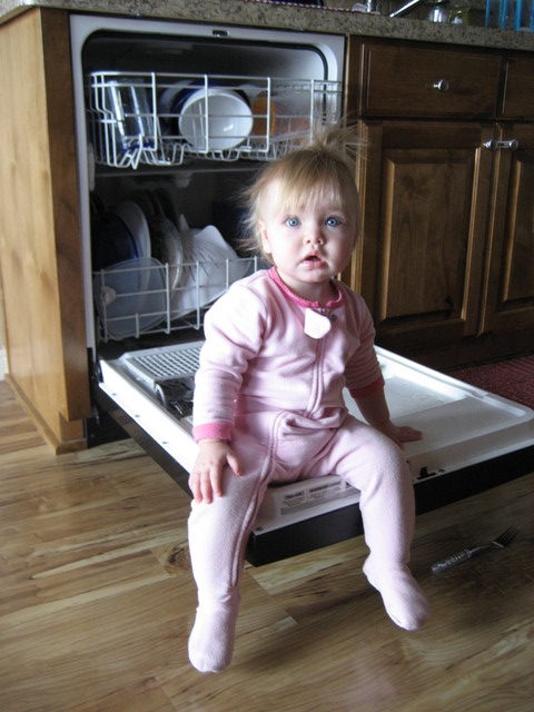 IMG 0989