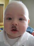 Paul's mustache 4