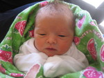 January 2007 115