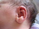 January 2007 164