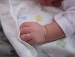 January 2007 172