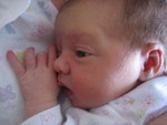 January 2007 178