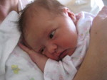 January 2007 179