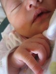 January 2007 182