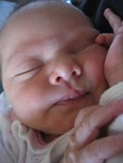 January 2007 183