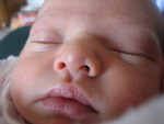 January 2007 184