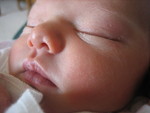 January 2007 187