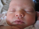 January 2007 189