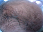 January 2007 198