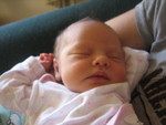 January 2007 210