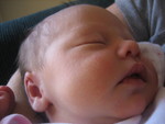 January 2007 211