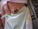 January 2007 212